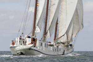 Ontdek de Wadden: 7-daagse zeilreis vanuit Enkhuizen - Elizabeth